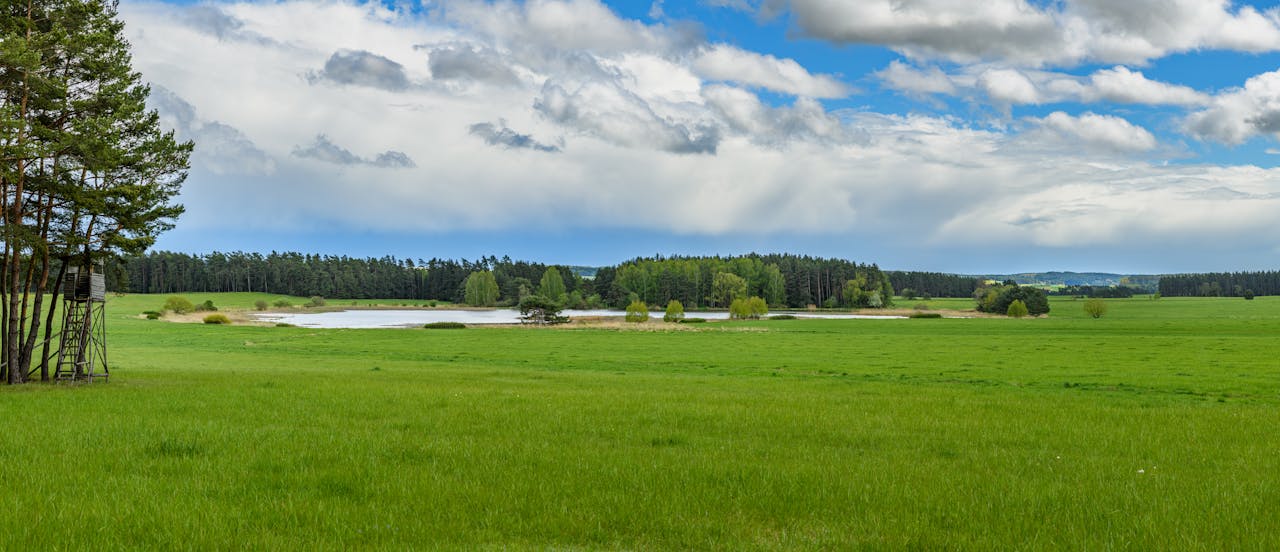 Serene Czech landscape featuring lush fields, a tranquil lake, and dense forest under a vast sky.