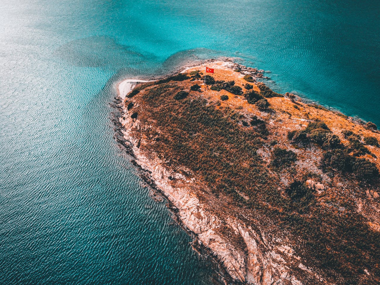 Pexels Photo 19740503